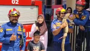Mimpi Apa Warga Bogor Tahu-tahu Biawak Jatuh dari Atap Rumah