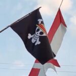 Pengibaran Bendera One Piece sebagai Ekspresi Sosial, Bukan Makar