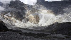 Freeport Didorong untuk IPO di BEI, Ini Alasannya